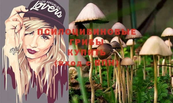 COCAINE Няндома