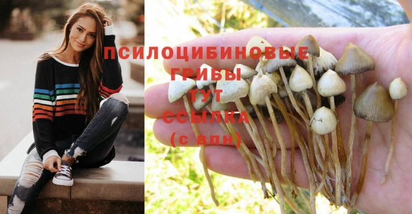 стафф Нязепетровск