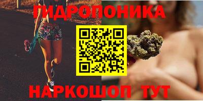 индика Берёзовский