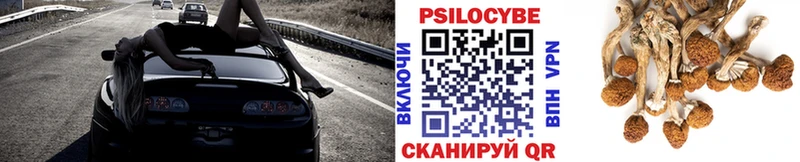 как найти   Вязьма  Галлюциногенные грибы прущие грибы 