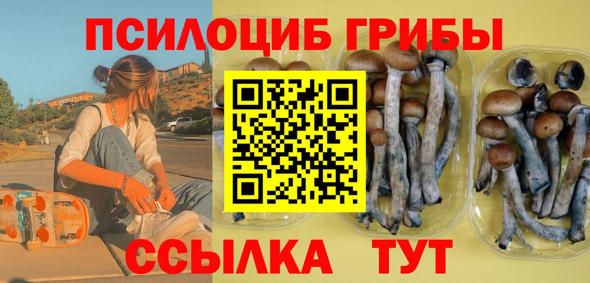 Псилоцибиновые грибы мицелий Вязьма